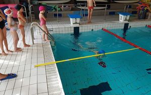 TESTS nouveaux nageurs  école française de natation 
